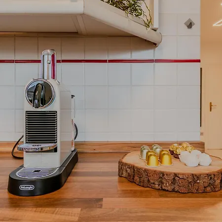 Stilvolle Stadtwohnung In Innenstadt 公寓 特里尔